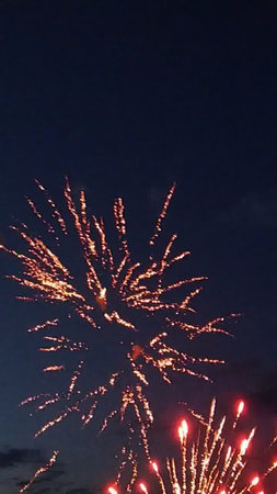 Fireworks in the night sky. Fireworks in the night sky.の写真素材