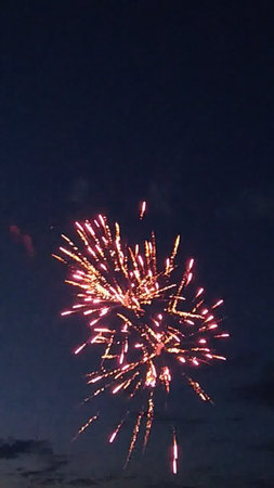 Fireworks in the night sky. Fireworks in the night sky.の写真素材