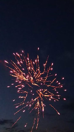 Fireworks in the night sky. Beautiful fireworks in the night sky.の写真素材