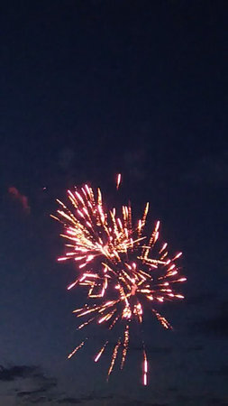 Fireworks in the night sky. Beautiful firework in the night sky.の写真素材