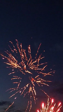Fireworks in the night sky. Beautiful fireworks in the night sky.の写真素材