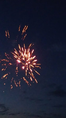 Fireworks in the night sky. Fireworks in the night skyの写真素材