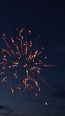 fireworks in the night sky. fireworks in the night sky.の写真素材