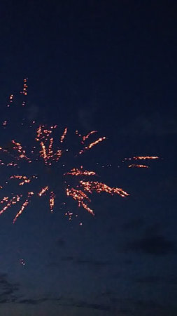 Fireworks in the night sky. Beautiful fireworks in the night sky.の写真素材