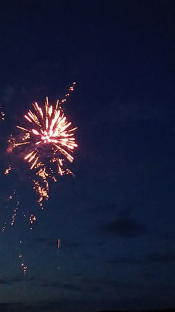 Beautiful fireworks in the night sky. Fireworks in the sky.の写真素材