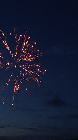 Colorful fireworks on the black sky background. Independence Day celebration.の写真素材