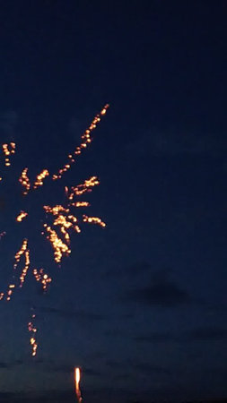 Fireworks in the night sky. Beautiful fireworks in the night sky.の写真素材