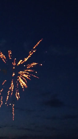 Fireworks in the night sky. Fireworks in the night sky.の写真素材