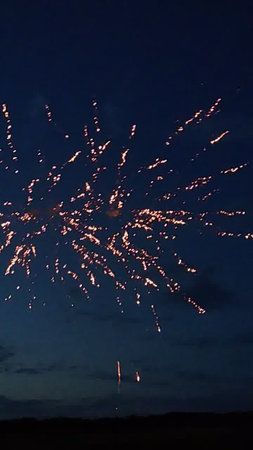 Fireworks in the night sky. Beautiful fireworks in the night sky.の写真素材