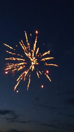 Fireworks in the night sky. Fireworks in the night sky.の写真素材