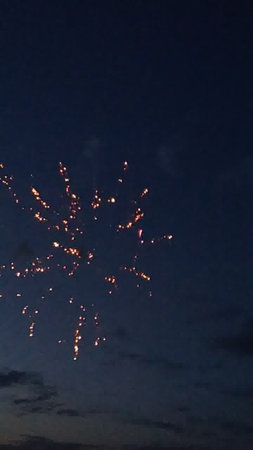 Fireworks in the night sky. Fireworks in the night skyの写真素材