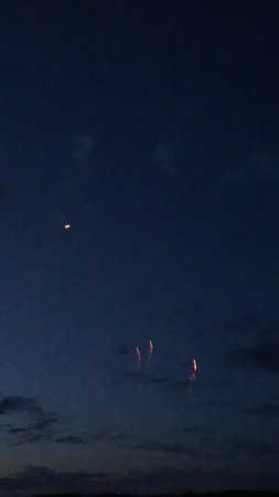 Fireworks in the night sky. Pyrotechnics show.の写真素材