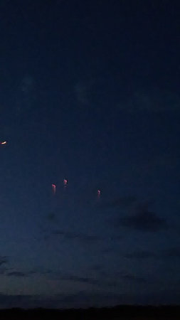 Fireworks in the night sky. Fireworks in the night sky.の写真素材