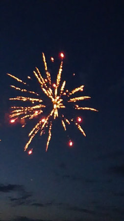 Fireworks in the night sky. Beautiful fireworks in the night sky.の写真素材