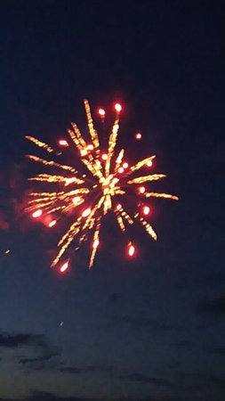 Fireworks in the night sky. Beautiful fireworks in the night sky.の写真素材
