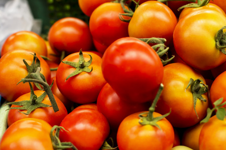 Red tomatoesの写真素材