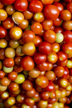 Red tomatoesの写真素材