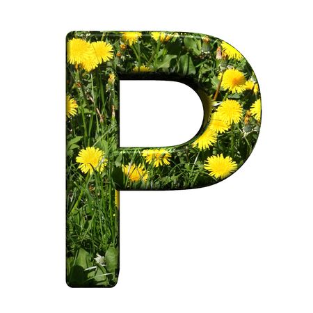 One letter from floral alphabet set, isolated on white. Computer generated 3D photo rendering.の写真素材