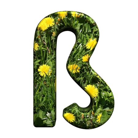 One letter from floral alphabet set, isolated on white. Computer generated 3D photo rendering.の写真素材