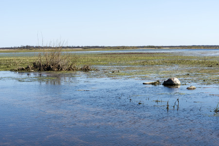 Early spring in the Biebrza National Park, Poland, Podlasieの写真素材