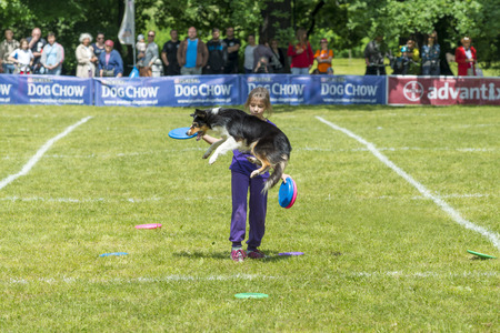 Lovers of dogs met at competitions  Dog Chow Disc Cup 2014 ,where they could be there to show off their skills and their dogs in Wroclaw, Poland on Juni 1, 2014 のeditorial素材