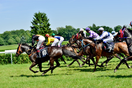 President s Day at the track Partenice, race for 3-year-old horses only group III in Wroclaw on Juni 8, 2014  Race wins horse Zucchero with the number 2 のeditorial素材
