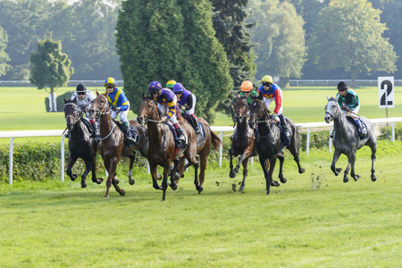 Rutena Award - International race for 3-year-old and older horses on 7 September 2014 in Wroclaw, Poland. Race wins horse Madjani with the number 7.のeditorial素材