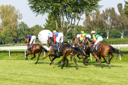 Rutena Award - International race for 3-year-old and older horses on 7 September 2014 in Wroclaw, Poland. Race wins horse Madjani with the number 7.のeditorial素材