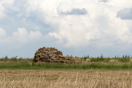 Rural landscape before storm in Central Poland, Europe