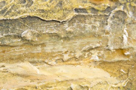 Abstract oil painted texture on canvasの写真素材