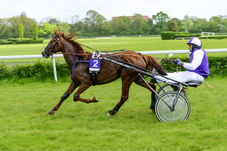 Finish the race for 3-year-old and older trotting French (sulki) on 8 May 2016 in Wroclaw, Poland. This is an annual race on the track Partenice open to the public.のeditorial素材