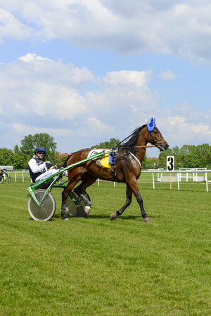 Presentation of the horses before the race for 3-year-old and older sulki on 8 May 2016 in Wroclaw, Poland. This is an annual race on the track Partenice open to the public.のeditorial素材