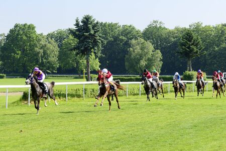 Race for the 3-year-old Arabian horses group II on 29 May 2016 in Wroclaw, Poland. This is an annual race on the track Partenice open to the public.のeditorial素材