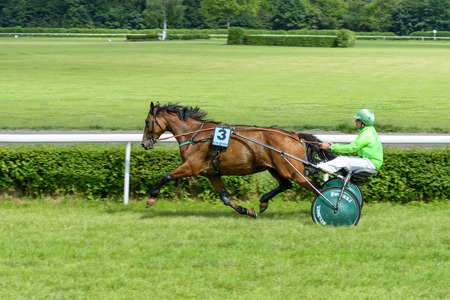 Thetis des Neuzy horse on the race for 8-year-old and older trotting French on June 18, 2017 in Wroclaw, Poland. This is an annual race on the Partynice track open to the public.のeditorial素材