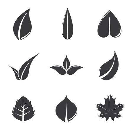 leavesのイラスト素材