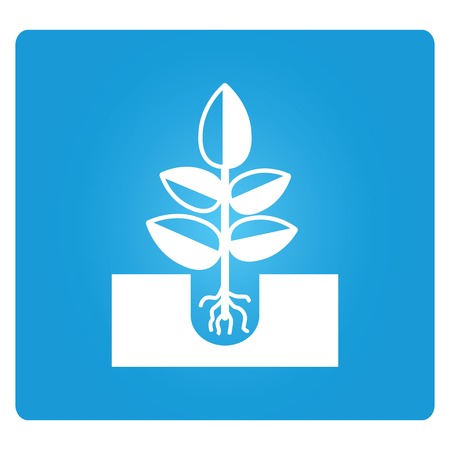 seed, plantのイラスト素材