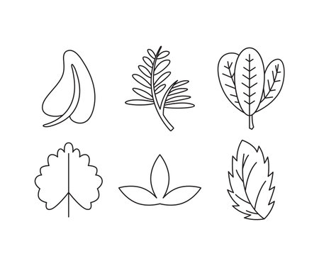 Leaf icon set vector illustrationのイラスト素材