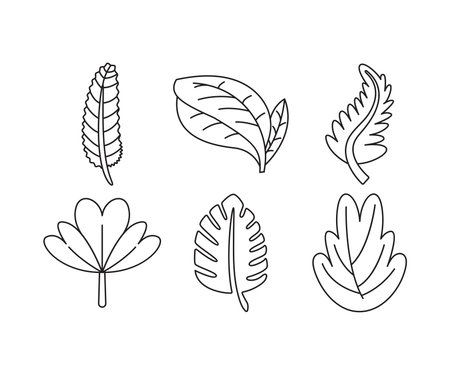 Leaf icon set vector illustrationのイラスト素材
