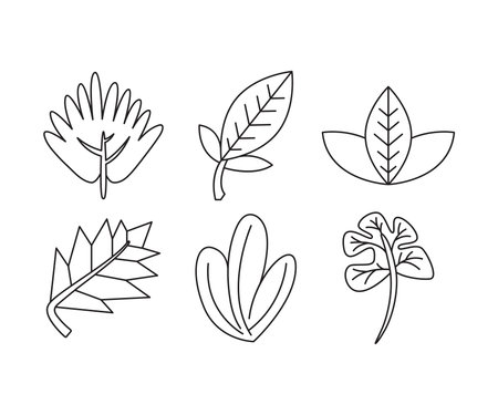 Leaf icon set vector illustrationのイラスト素材