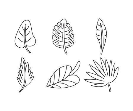Leaf icon set vector illustrationのイラスト素材