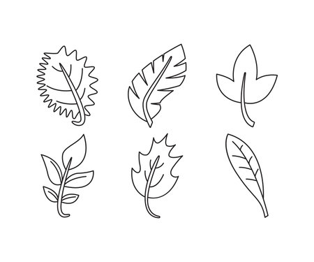 Leaf icon set vector illustrationのイラスト素材