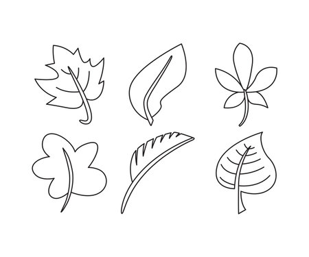 Leaf icon set vector illustrationのイラスト素材