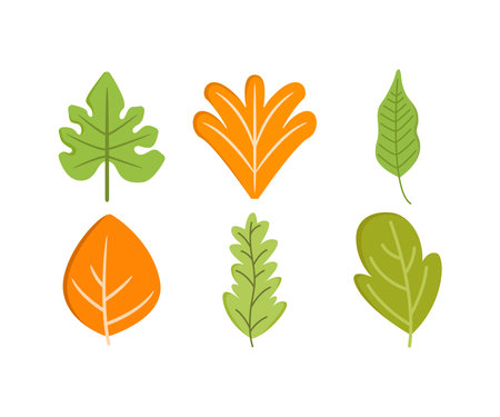 Set of autumn leavesのイラスト素材