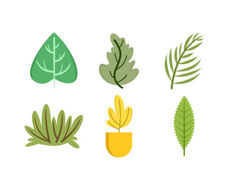 Set of various leaves and plants isolated on white backgroundのイラスト素材