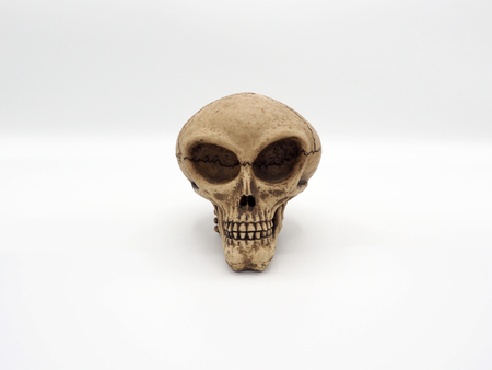 Alien skull and white background.