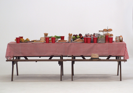 Wood table and red napkin cover for outdoor party or picnic in the garden for summer season and...