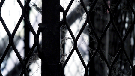 White cobweb on the old and dirty steel metal fence close-up angle.  の写真素材
