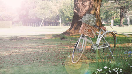 Vintage bike or bicycle and brown color wooden basket in the front and little white color flowers inside and national park background in the day time lighting which shown relaxation mood tone.の写真素材