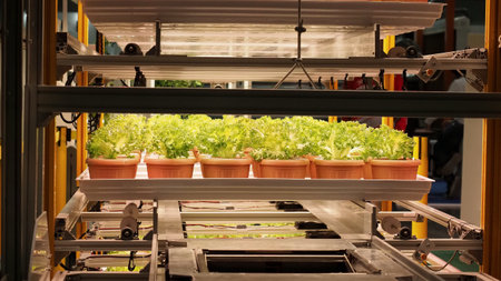 Smart vertical farm. Modern vertical farm with fresh lettuce and greens growing under LED lights. Smart indoor agriculture and hydroponics. Sustainable clean and efficient crop product in less area.の写真素材