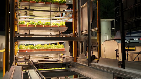 Smart vertical farm. Modern vertical farm with fresh lettuce and greens growing under LED lights. Smart indoor agriculture and hydroponics. Sustainable clean and efficient crop product in less area.の写真素材